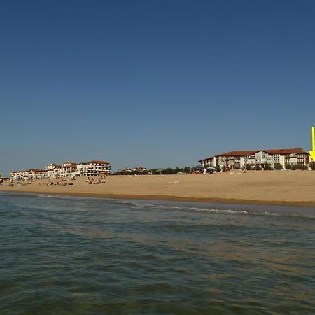 La Dune D'Or - Vue Mer, Studio Face A La Plage Avec Terrasse سورت-هوسيغور المظهر الخارجي الصورة